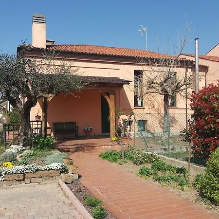 Villa Giuliana Вигонца Екстериор снимка