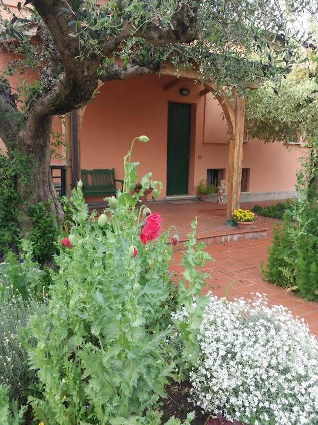 Villa Giuliana Вигонца Екстериор снимка